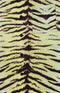 PRINTED CAMP COLLAR SHIRT